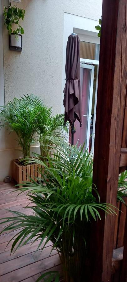 Appartement terrasse chambre jacuzzi privatif Toulouse Extérieur photo